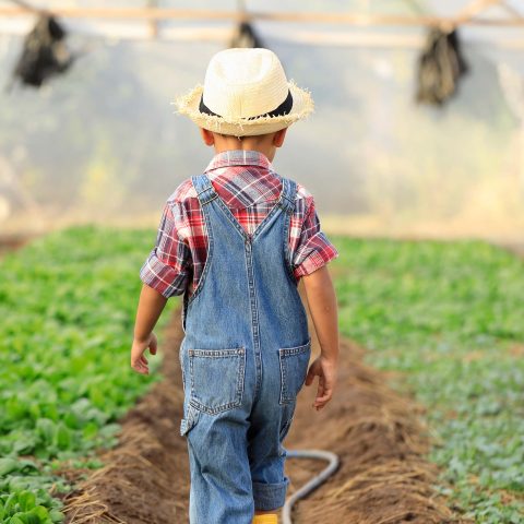 attività - fattoria didattica